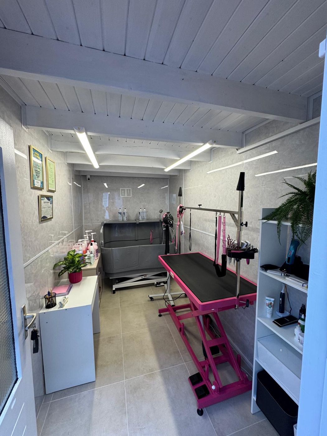 De trimstudio van Petite Paw Studio: roze trimtafel, grijs hondenbad, planten en certificaten aan de wand